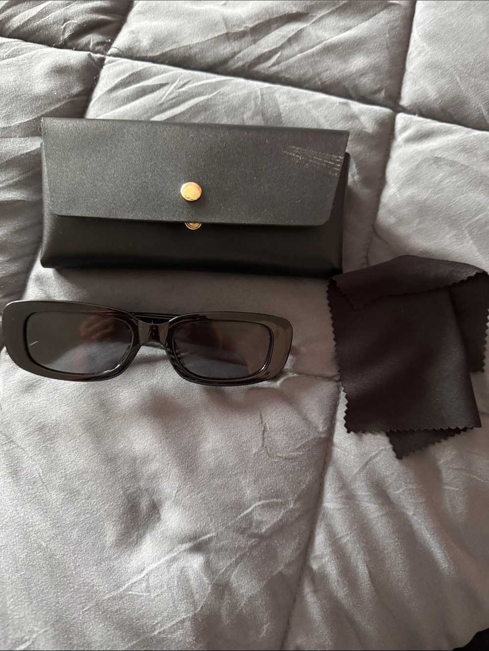 Classic Black Rectangular Sunglasses with Case